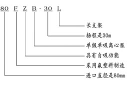 麻豆视频传媒入口图片